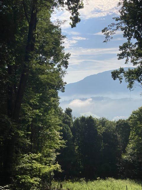 Clouds below with mountain view